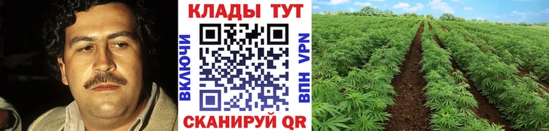 Купить наркотики Пятигорск КОКАИН  A-PVP  МАРИХУАНА 