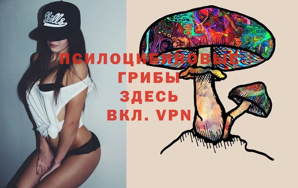 кокаин Богданович