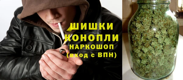 таблы Богородицк