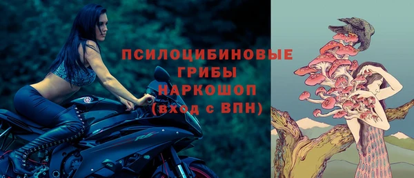 таблы Богородицк