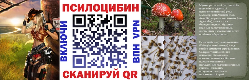 блэк спрут вход  Пятигорск  Галлюциногенные грибы мицелий 