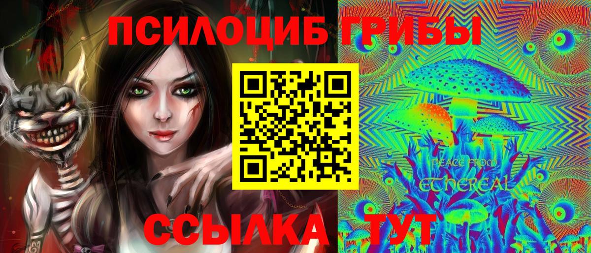 МЕФ Пятигорск